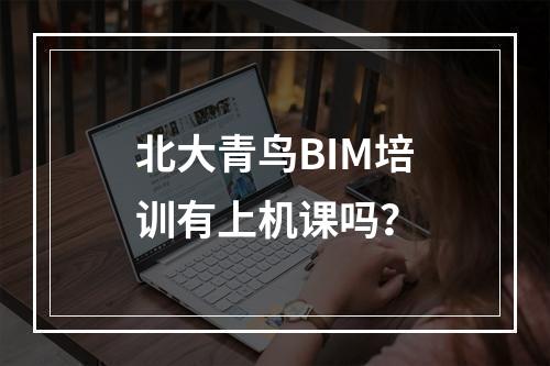 北大青鸟BIM培训有上机课吗？