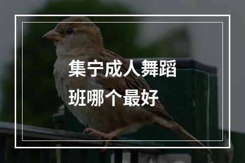 集宁成人舞蹈班哪个最好