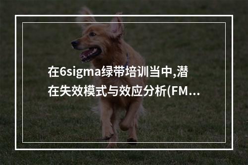 在6sigma绿带培训当中,潜在失效模式与效应分析(FMEA)培训内容有哪些呢？