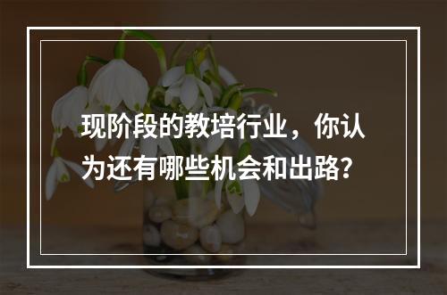 现阶段的教培行业，你认为还有哪些机会和出路？