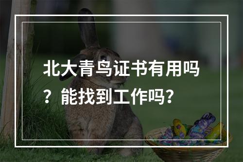 北大青鸟证书有用吗？能找到工作吗？