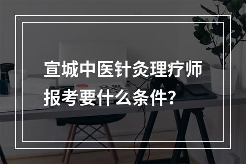 宣城中医针灸理疗师报考要什么条件？