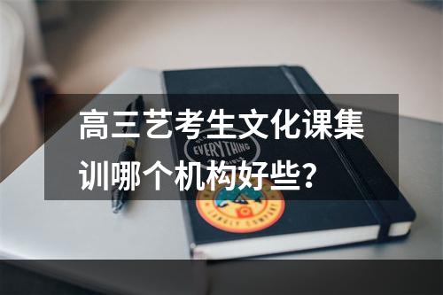 高三艺考生文化课集训哪个机构好些？