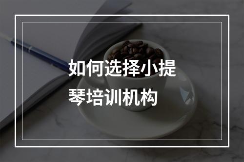 如何选择小提琴培训机构