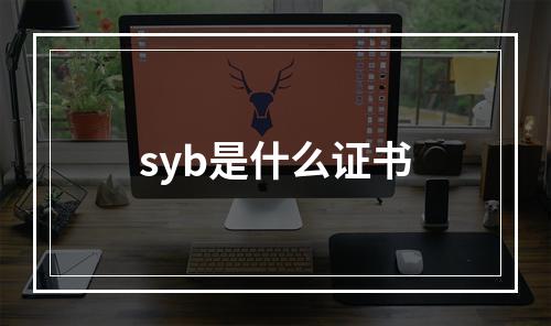 syb是什么证书