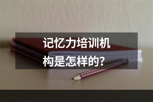 记忆力培训机构是怎样的？