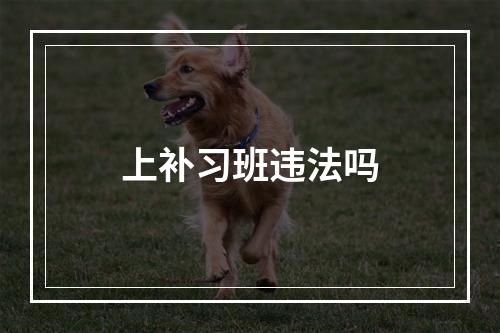 上补习班违法吗