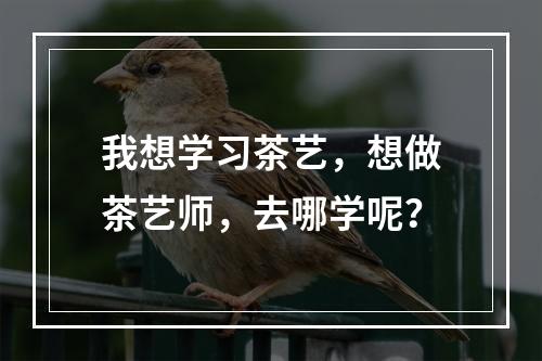 我想学习茶艺，想做茶艺师，去哪学呢？