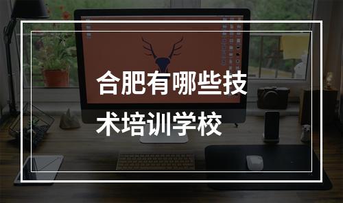 合肥有哪些技术培训学校