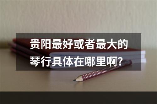 贵阳最好或者最大的琴行具体在哪里啊？