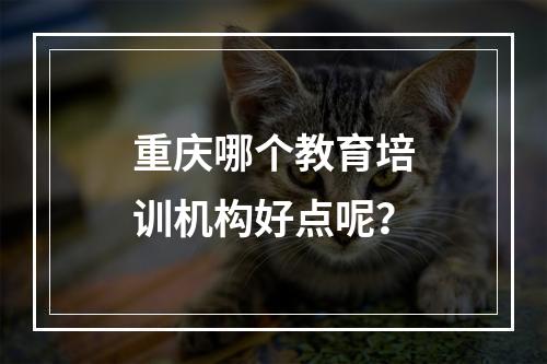 重庆哪个教育培训机构好点呢？