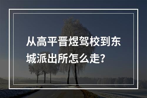 从高平晋煜驾校到东城派出所怎么走？