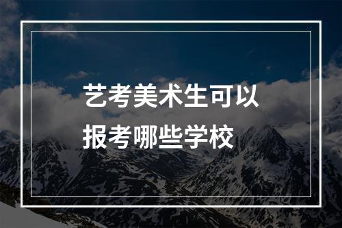 艺考美术生可以报考哪些学校