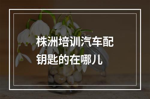 株洲培训汽车配钥匙的在哪儿