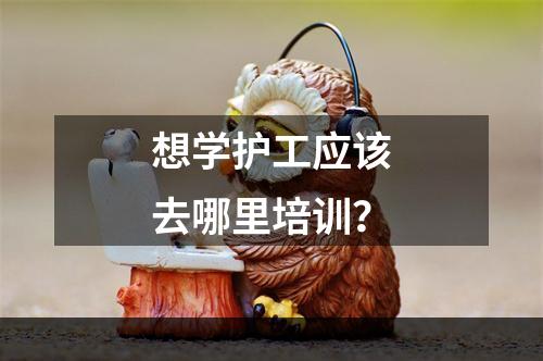 想学护工应该去哪里培训？