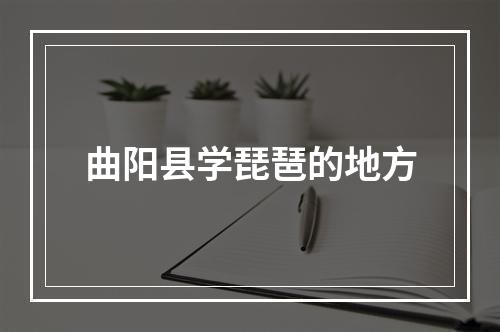 曲阳县学琵琶的地方