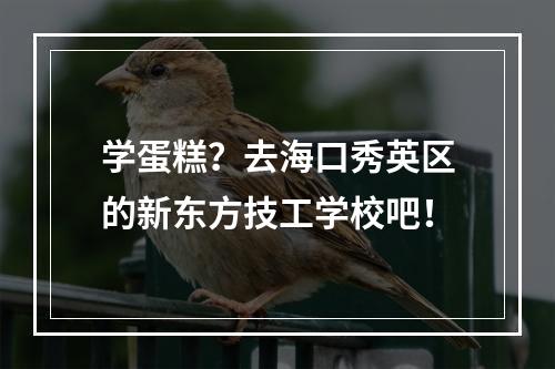 学蛋糕？去海口秀英区的新东方技工学校吧！