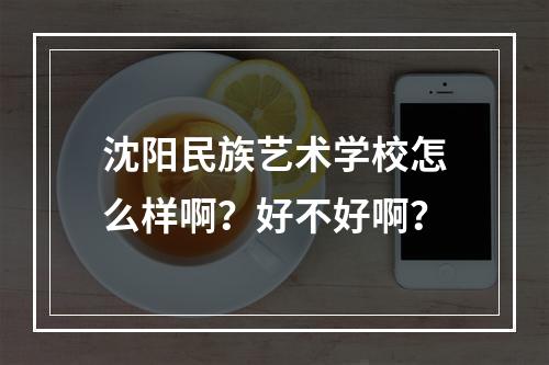 沈阳民族艺术学校怎么样啊？好不好啊？