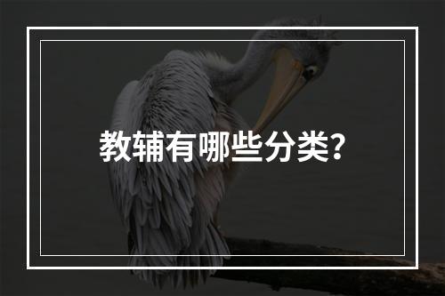 教辅有哪些分类？