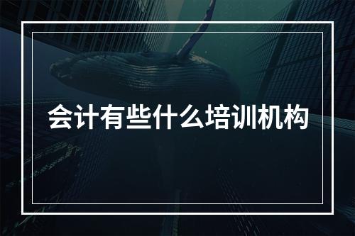 会计有些什么培训机构