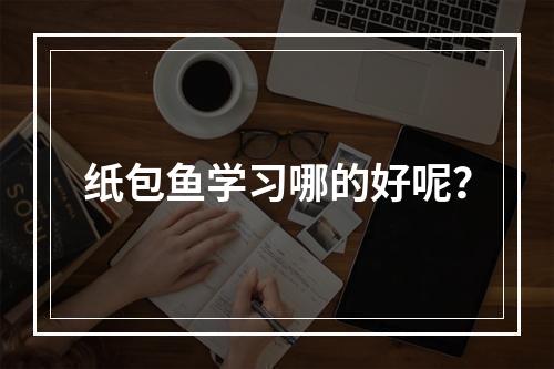 纸包鱼学习哪的好呢？