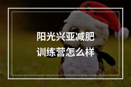 阳光兴亚减肥训练营怎么样