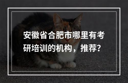 安徽省合肥市哪里有考研培训的机构，推荐？