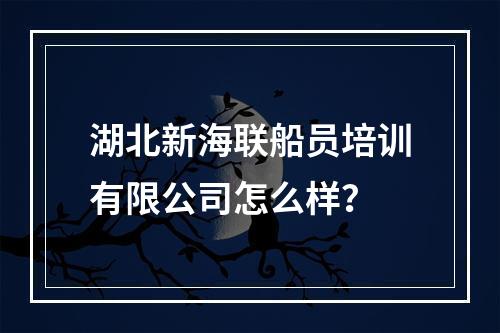 湖北新海联船员培训有限公司怎么样？