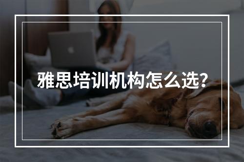 雅思培训机构怎么选？