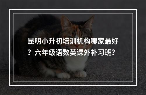 昆明小升初培训机构哪家最好？六年级语数英课外补习班？