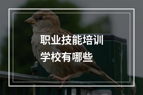 职业技能培训学校有哪些