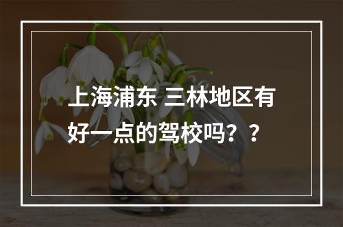 上海浦东 三林地区有好一点的驾校吗？？