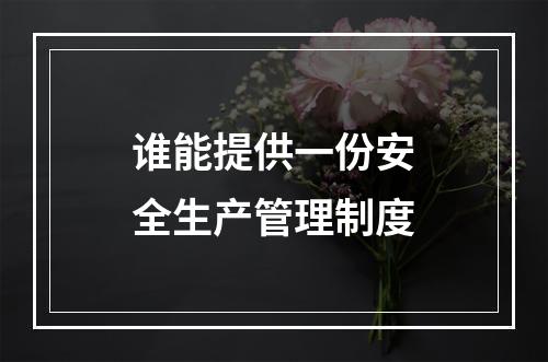 谁能提供一份安全生产管理制度