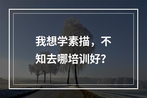 我想学素描，不知去哪培训好？