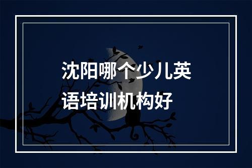 沈阳哪个少儿英语培训机构好