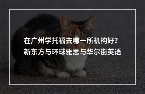 在广州学托福去哪一所机构好？新东方与环球雅思与华尔街英语