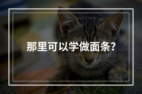 那里可以学做面条？