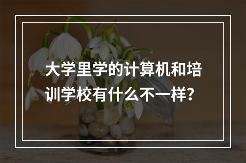 大学里学的计算机和培训学校有什么不一样？