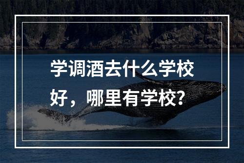 学调酒去什么学校好，哪里有学校？