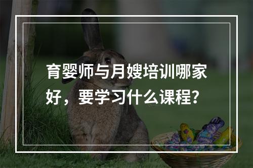 育婴师与月嫂培训哪家好，要学习什么课程？