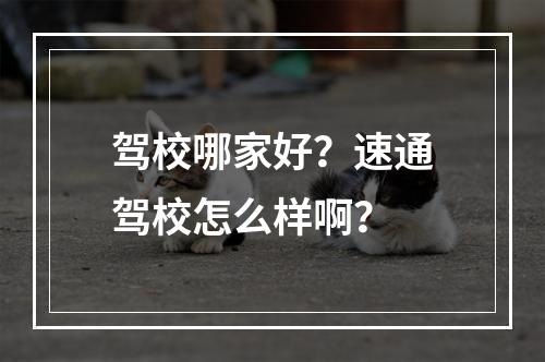 驾校哪家好？速通驾校怎么样啊？