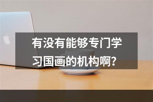 有没有能够专门学习国画的机构啊？