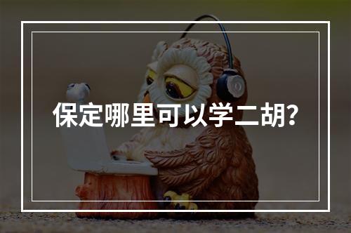 保定哪里可以学二胡？