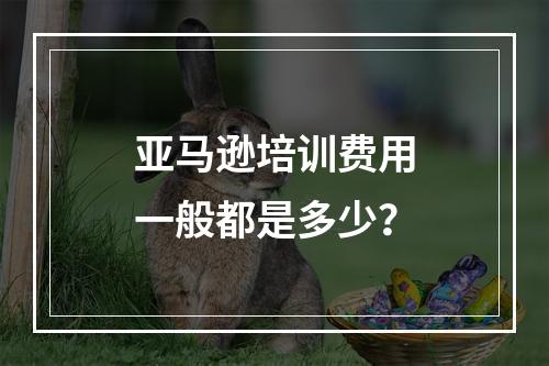 亚马逊培训费用一般都是多少？