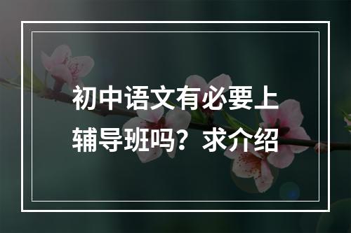 初中语文有必要上辅导班吗？求介绍