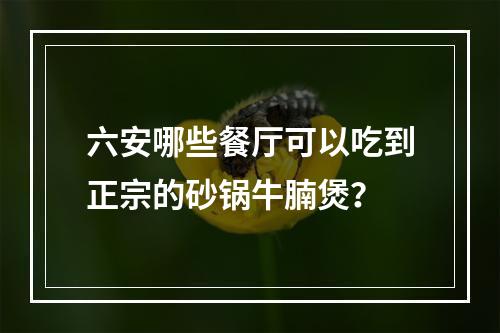 六安哪些餐厅可以吃到正宗的砂锅牛腩煲？