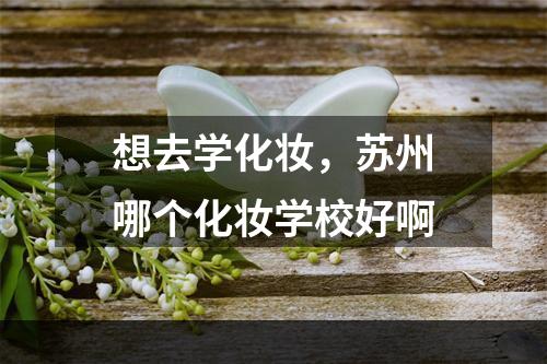 想去学化妆，苏州哪个化妆学校好啊