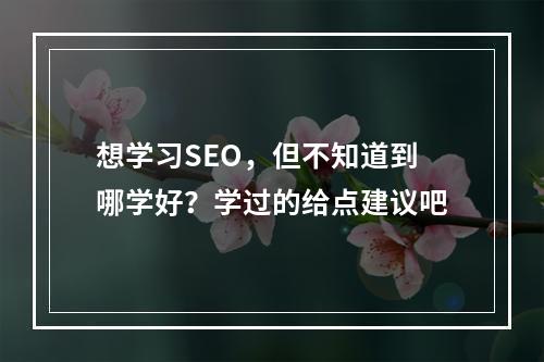 想学习SEO，但不知道到哪学好？学过的给点建议吧