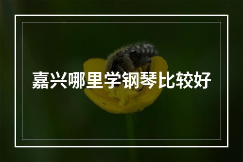 嘉兴哪里学钢琴比较好