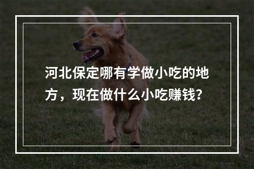 河北保定哪有学做小吃的地方，现在做什么小吃赚钱？